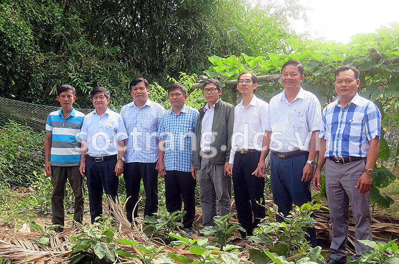 Bí thư Thị ủy Ngã Năm khảo sát thực trạng vườn cò Tân Long