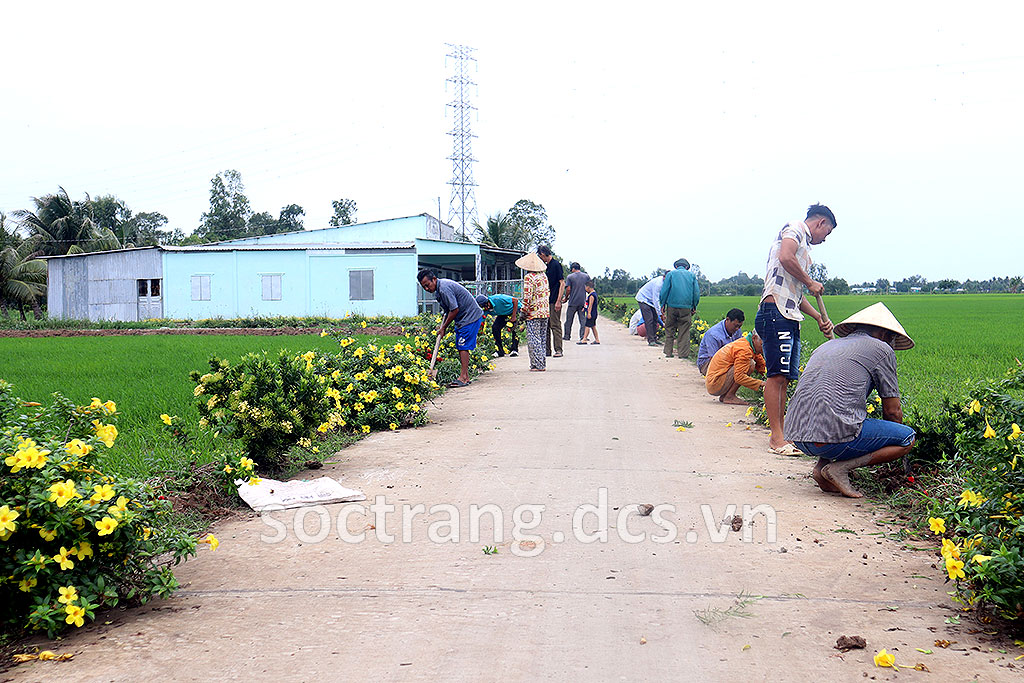 Những tuyến đường hoa nông thôn mới ở Trần Đề